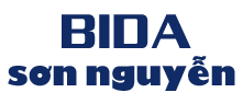 //bidasonnguyen.com/files/images/logo-bida-sonnguyen.png