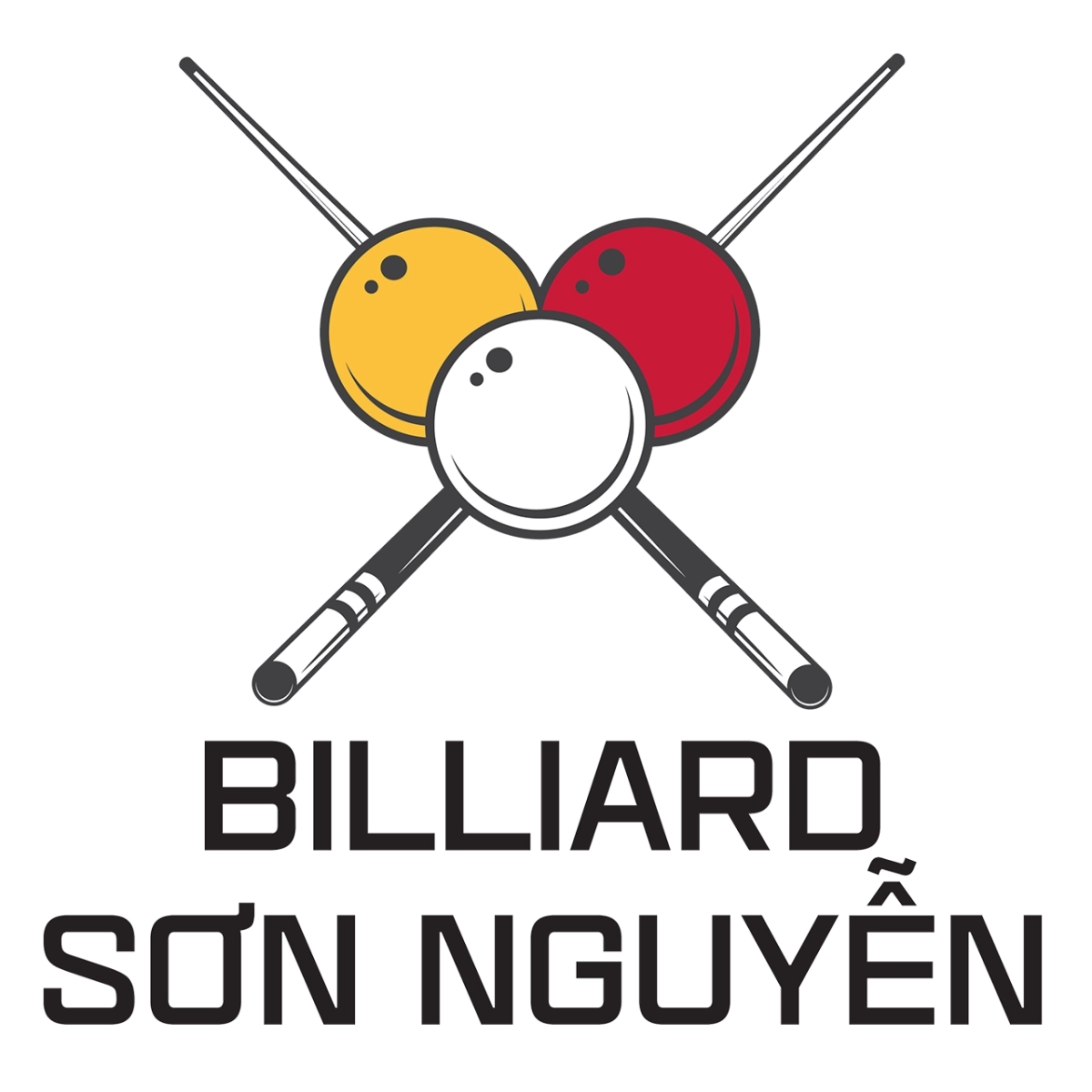 //bidasonnguyen.com/files/images/logo_sonnguyen.png